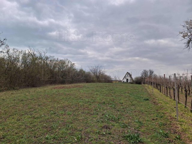 Eladó mezogazdasagi ingatlan, Balatonalmádiban 15 M Ft