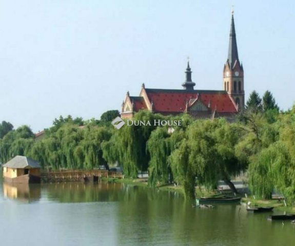 Eladó családi ház, Ráckevén 125 M Ft, 4 szobás