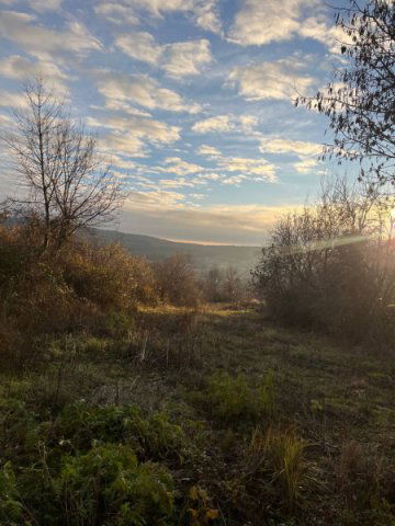 Eladó telek, Pilisszentkereszten 40 M Ft / költözzbe.hu