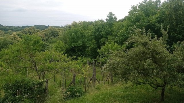 Eladó nyaraló, Zalaújlakon 7.9 M Ft, 3 szobás