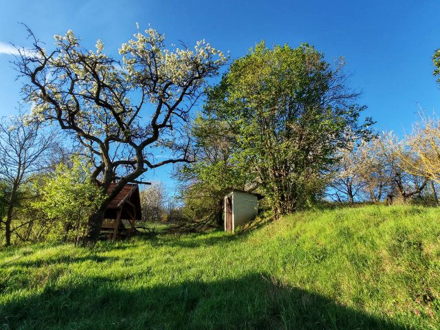 Eladó ipari ingatlan, Cserszegtomajon 34.9 M Ft, 1 szobás