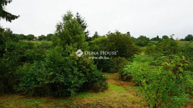 Eladó családi ház, Nagypálin 9.9 M Ft, 2 szobás