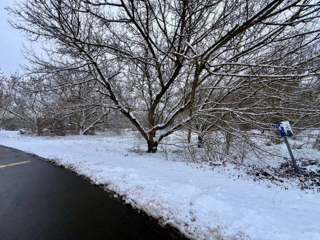 Eladó telek, Fóton 32 M Ft / költözzbe.hu