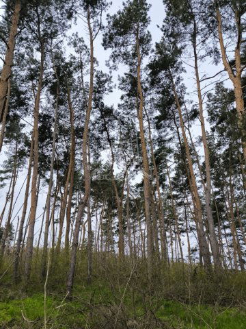 Eladó mezogazdasagi ingatlan, Hévízgyörkön 14.99 M Ft