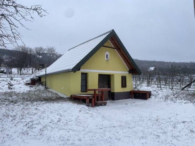 Eladó mezogazdasagi ingatlan, Várpalotán 15.8 M Ft