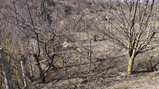 Eladó telek, Pellérden 3.9 M Ft / költözzbe.hu