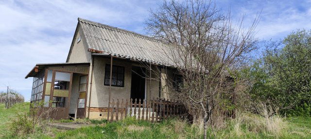 Eladó mezogazdasagi ingatlan, Zalaszentgróton 4.5 M Ft