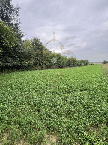 Eladó mezogazdasagi ingatlan, Balatonbogláron 3.5 M Ft