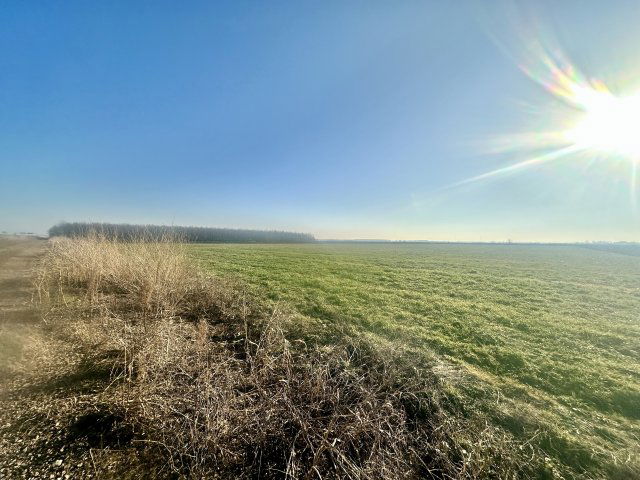 Eladó mezogazdasagi ingatlan, Szolnokon 4 M Ft