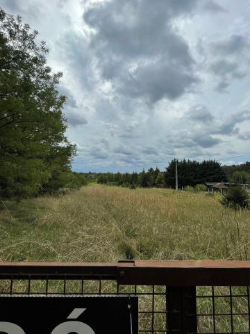 Eladó mezogazdasagi ingatlan, Szomódon 28 M Ft