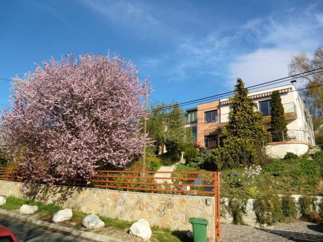 Eladó családi ház, Budapesten, II. kerületben 510 M Ft