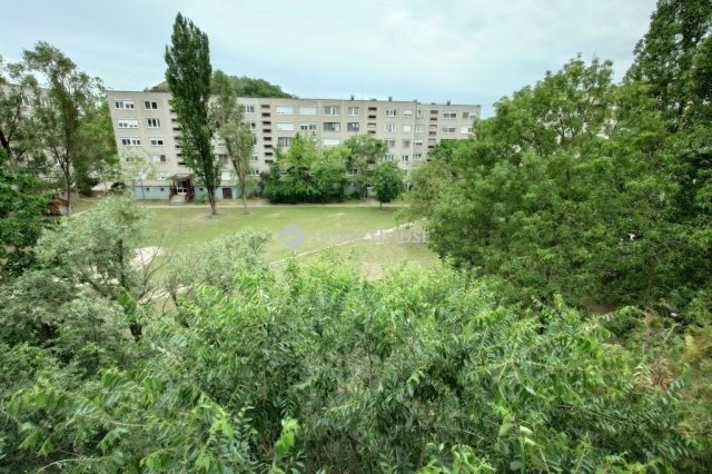 Eladó panellakás, Kecskeméten 34.5 M Ft, 1 szobás