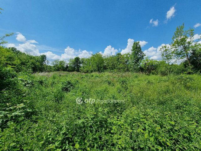 Eladó telek, Mihályházán 2.55 M Ft / költözzbe.hu