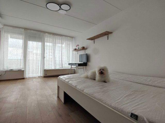 Kiadó téglalakás, albérlet, Pécsett, Tildy Zoltán utcában