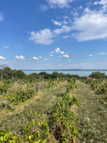 Eladó telek, Balatonszepezden 80 M Ft / költözzbe.hu