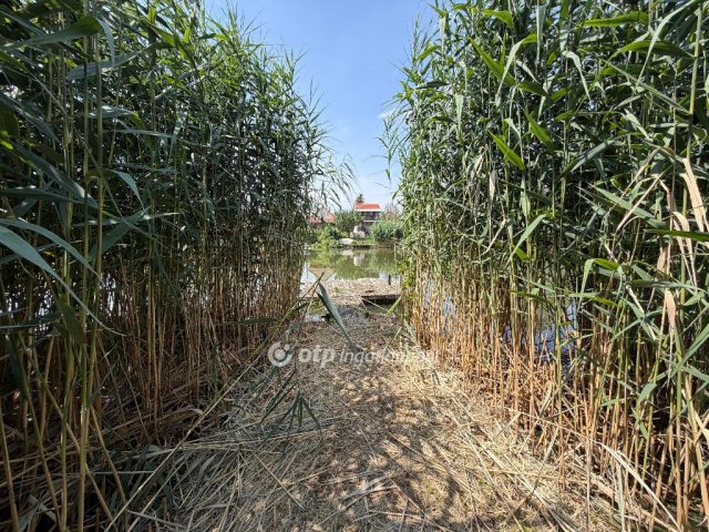 Eladó telek, Gyomaendrődön 29.9 M Ft / költözzbe.hu