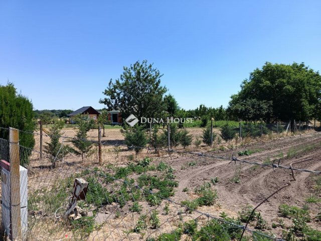 Eladó mezogazdasagi ingatlan, Szegeden, Bordányi úton 8.5 M Ft