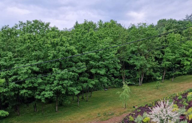 Eladó telek, Felsőörsön 69.9 M Ft / költözzbe.hu
