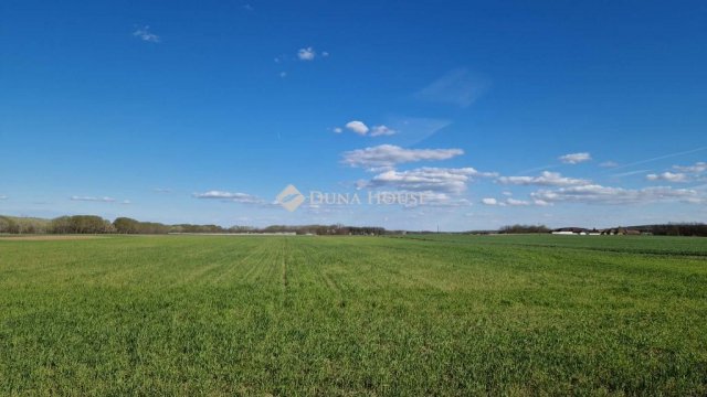 Eladó mezogazdasagi ingatlan, Sülysápon 40.5 M Ft