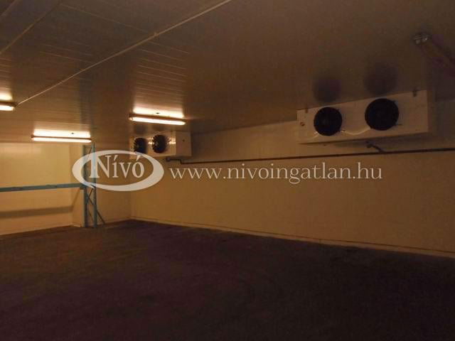 Kiadó ipari ingatlan, Veszprémben 696 E Ft / hó