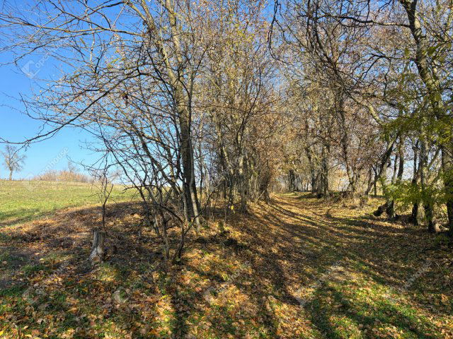 Eladó telek, Gombán 27.9 M Ft / költözzbe.hu