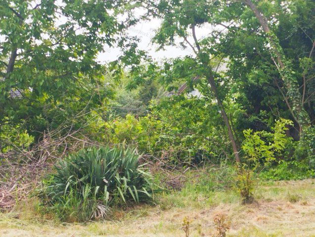 Eladó telek, Veresegyházon 64.5 M Ft / költözzbe.hu