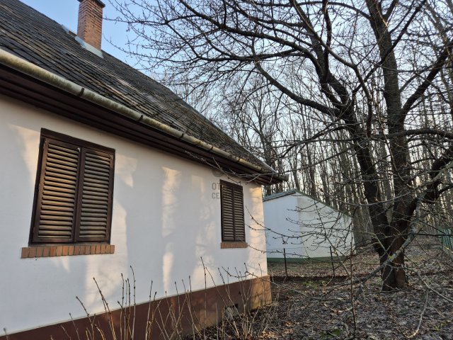 Eladó családi ház, Tiszafüreden 49.5 M Ft, 3 szobás