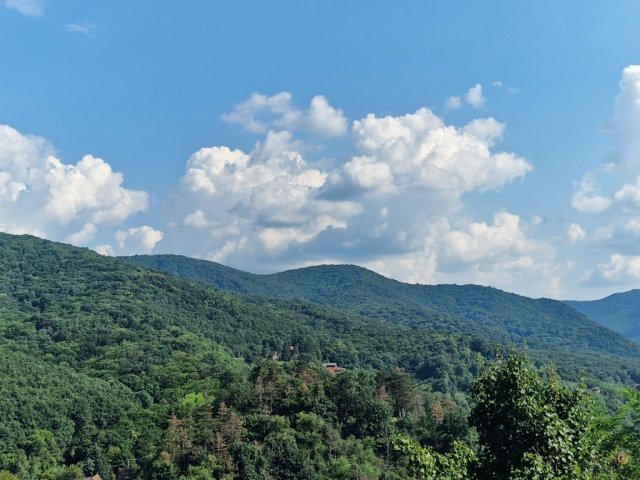 Eladó telek, Zebegényben 39 M Ft / költözzbe.hu