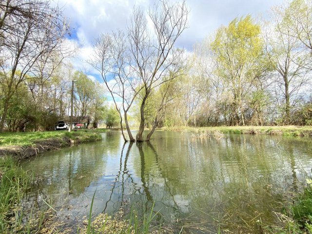 Eladó mezogazdasagi ingatlan, Bordányon 16.7 M Ft