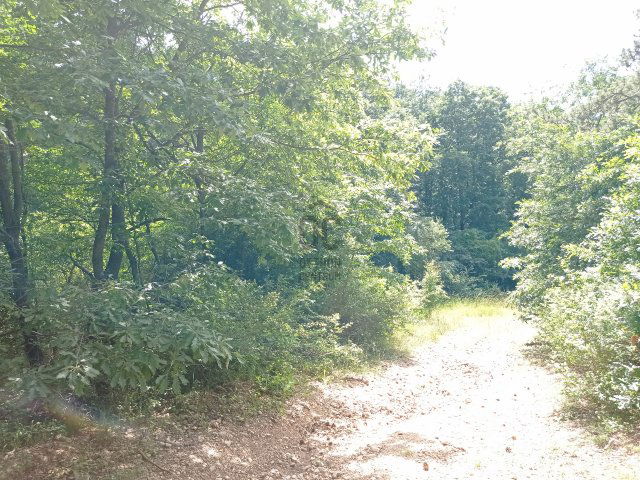 Eladó mezogazdasagi ingatlan, Litéren 3.4 M Ft
