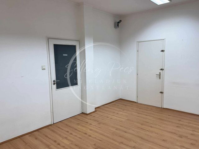 Kiadó iroda, Pécsett, Budai Nagy Antal utcában 70 E Ft / hó