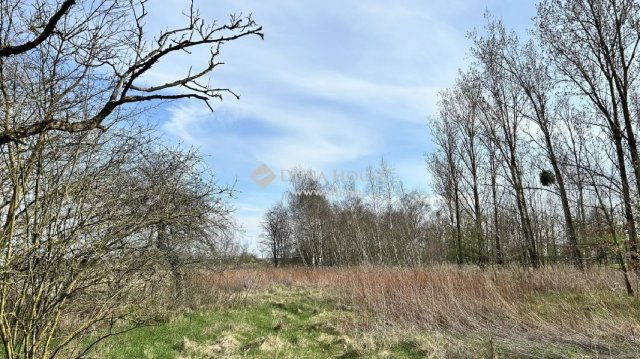 Eladó családi ház, Kenyerin 14.9 M Ft, 2 szobás