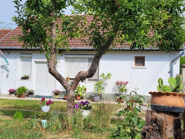 Eladó családi ház, Enyingen 32.5 M Ft, 3 szobás