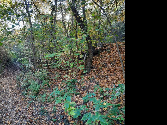 Eladó telek, Visegrádon, Csukavölgy utcában 15 M Ft