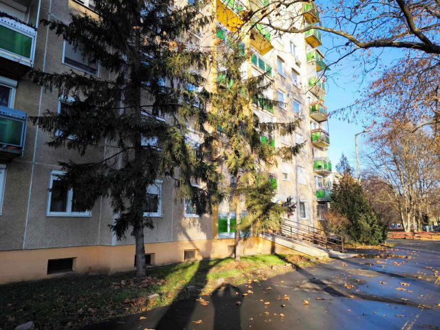 Kiadó panellakás, albérlet, Debrecenben, Görgey utcában