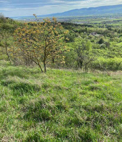 Eladó telek, Vácon 14.9 M Ft / költözzbe.hu