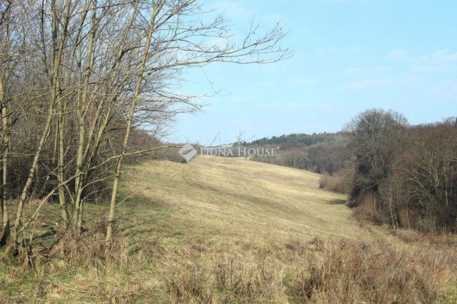 Eladó mezogazdasagi ingatlan, Alsónemesapátiban 55 M Ft