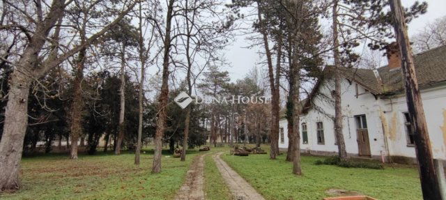 Eladó családi ház, Hódmezővásárhelyen 250 M Ft, 5 szobás