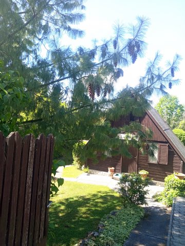 Eladó nyaraló, Miskolcon 33.9 M Ft, 1+1 szobás