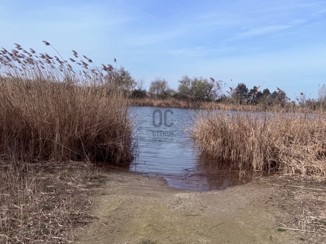 Eladó mezogazdasagi ingatlan, Győrött 179 M Ft