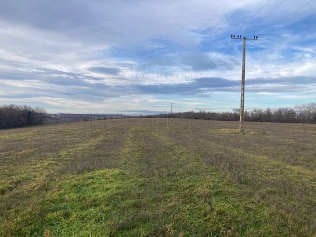 Eladó telek, Bálványoson 320 M Ft / költözzbe.hu