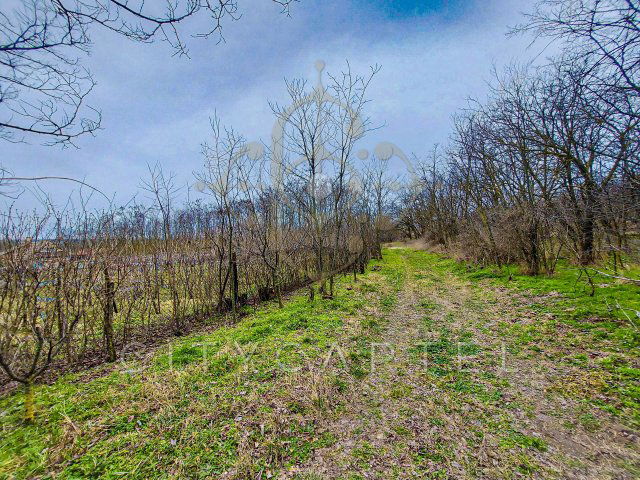 Eladó telek, Bölcskén 2.7 M Ft / költözzbe.hu