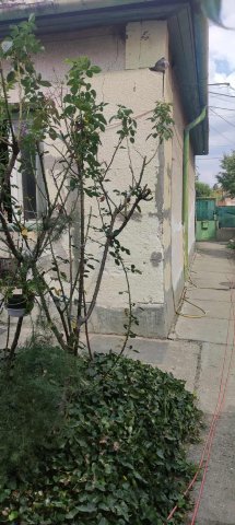 Eladó családi ház, Szolnokon 30 M Ft, 4 szobás