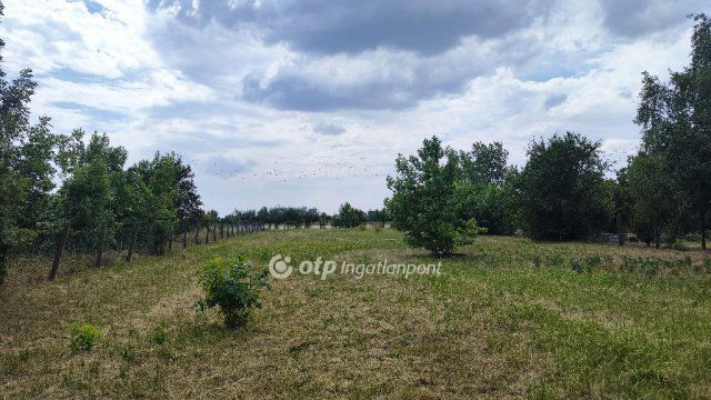 Eladó telek, Sarudon 15.5 M Ft / költözzbe.hu