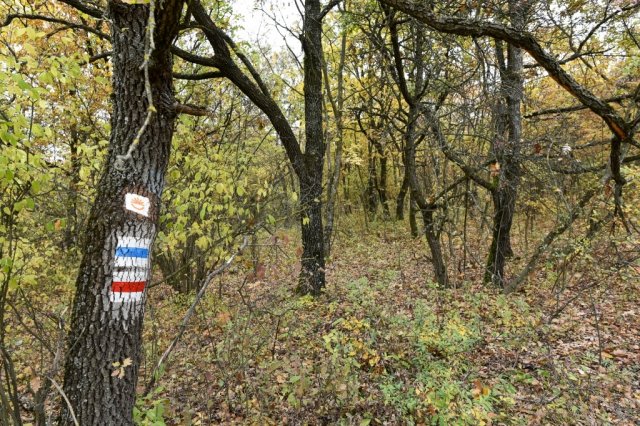 Eladó telek, Pécselyen 19.99 M Ft / költözzbe.hu