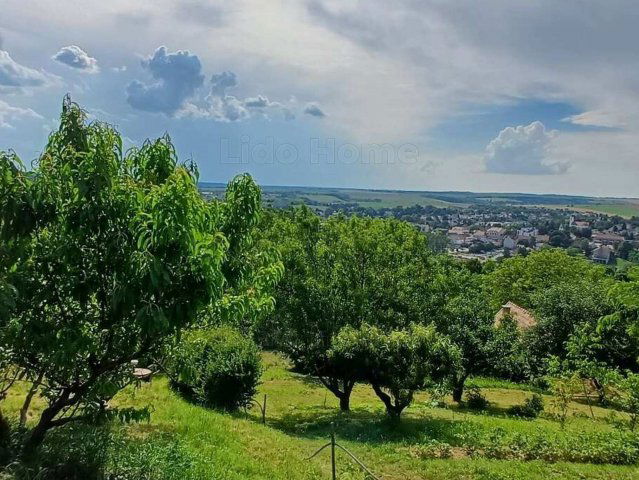 Eladó mezogazdasagi ingatlan, Tabon 22 M Ft, 6 szobás