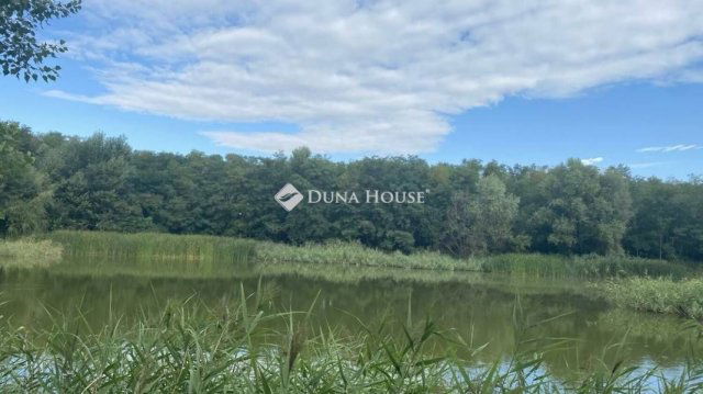 Eladó telek, Vitnyéden 138 M Ft / költözzbe.hu