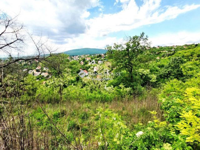 Eladó telek, Pécsett 59 M Ft / költözzbe.hu
