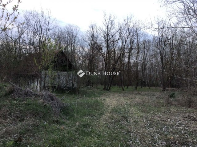 Eladó mezogazdasagi ingatlan, Ásotthalmán 3 M Ft, 2 szobás