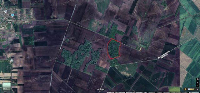 Eladó mezogazdasagi ingatlan, Tiborszálláson 32 M Ft